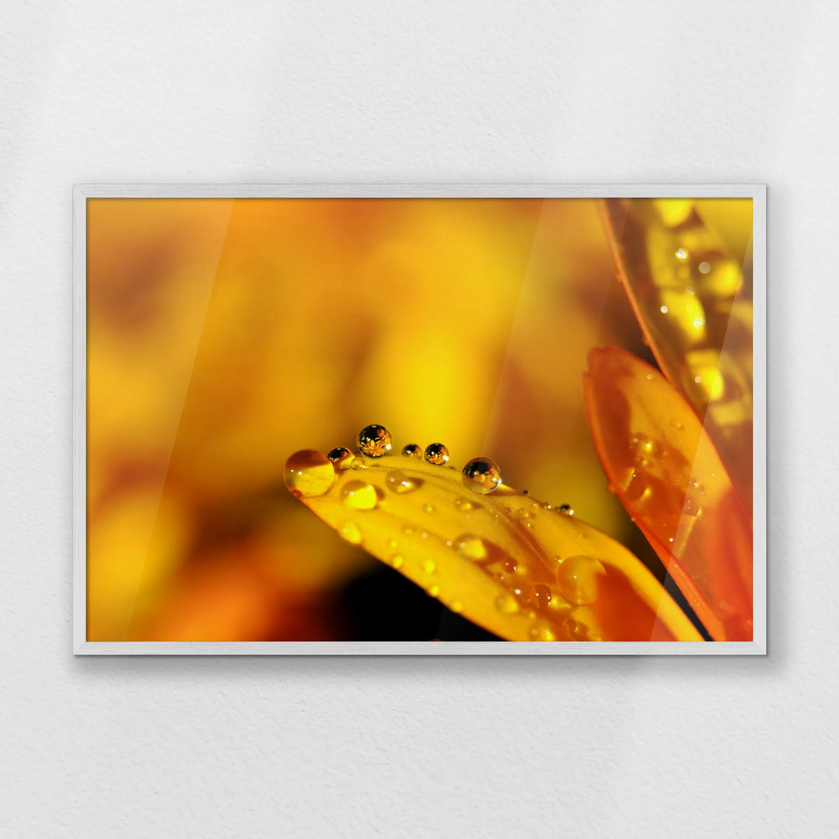 PW-093W062