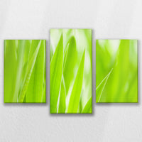LW-090T060