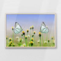 PN-093W062