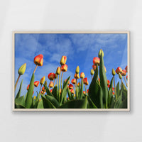 PN-093W062
