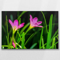 LW-075W050