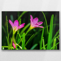 LW-045W030