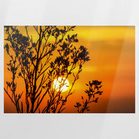 PO-120W080