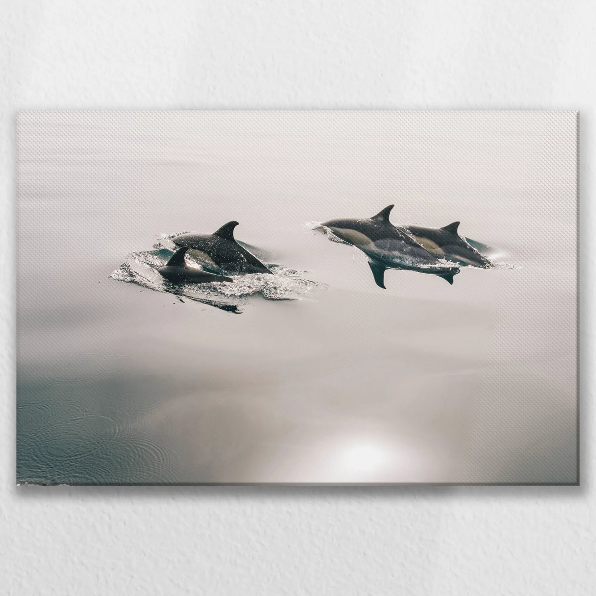 LW-075W050