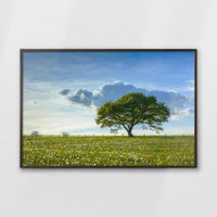 LWN120W080