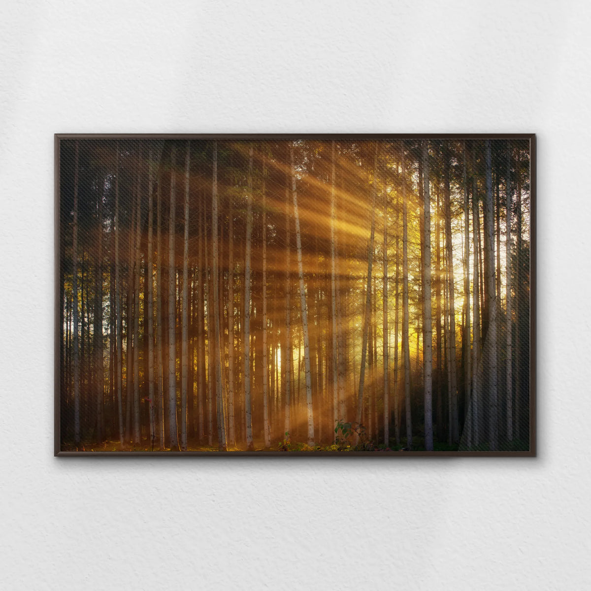 LWN120W080