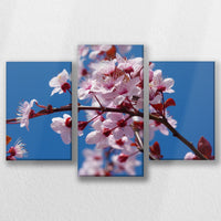 LW-060T040