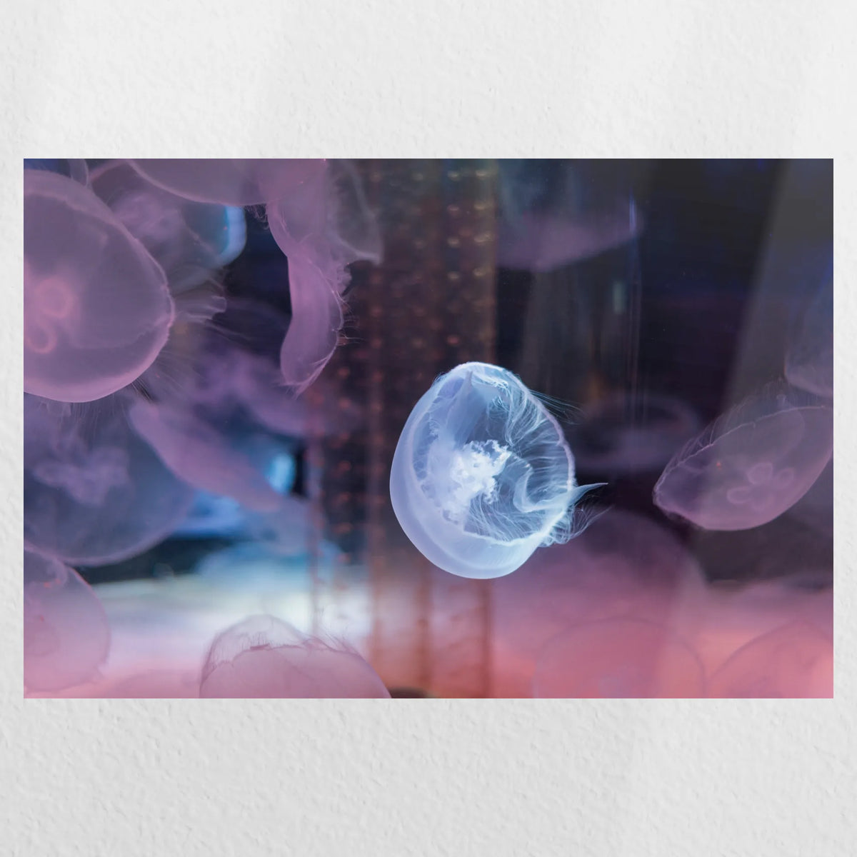 PO-030W020