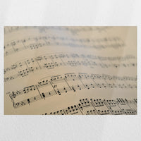 PO-030W020