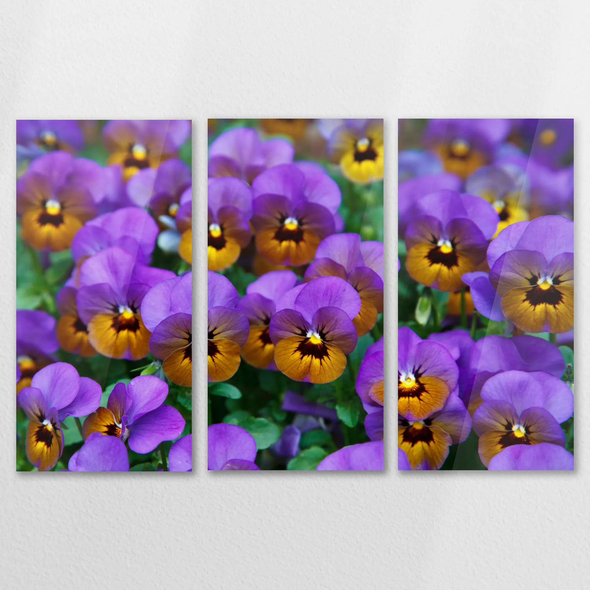 AC-120R080