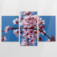 AC-120T080