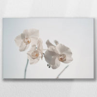 LW-045W030