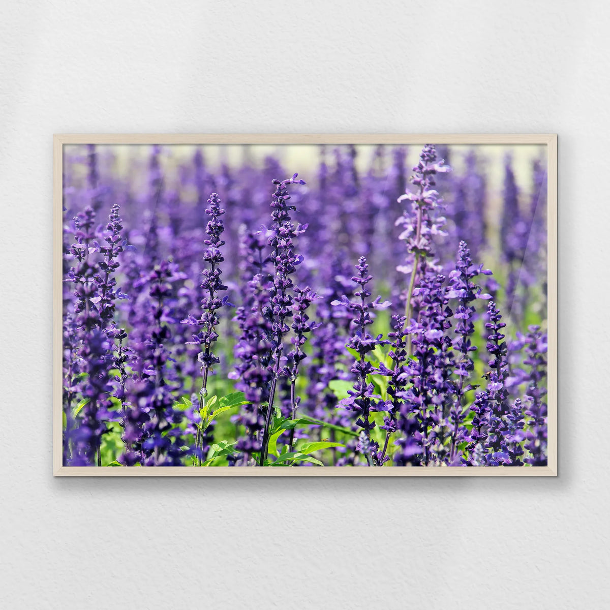 PN-093W062