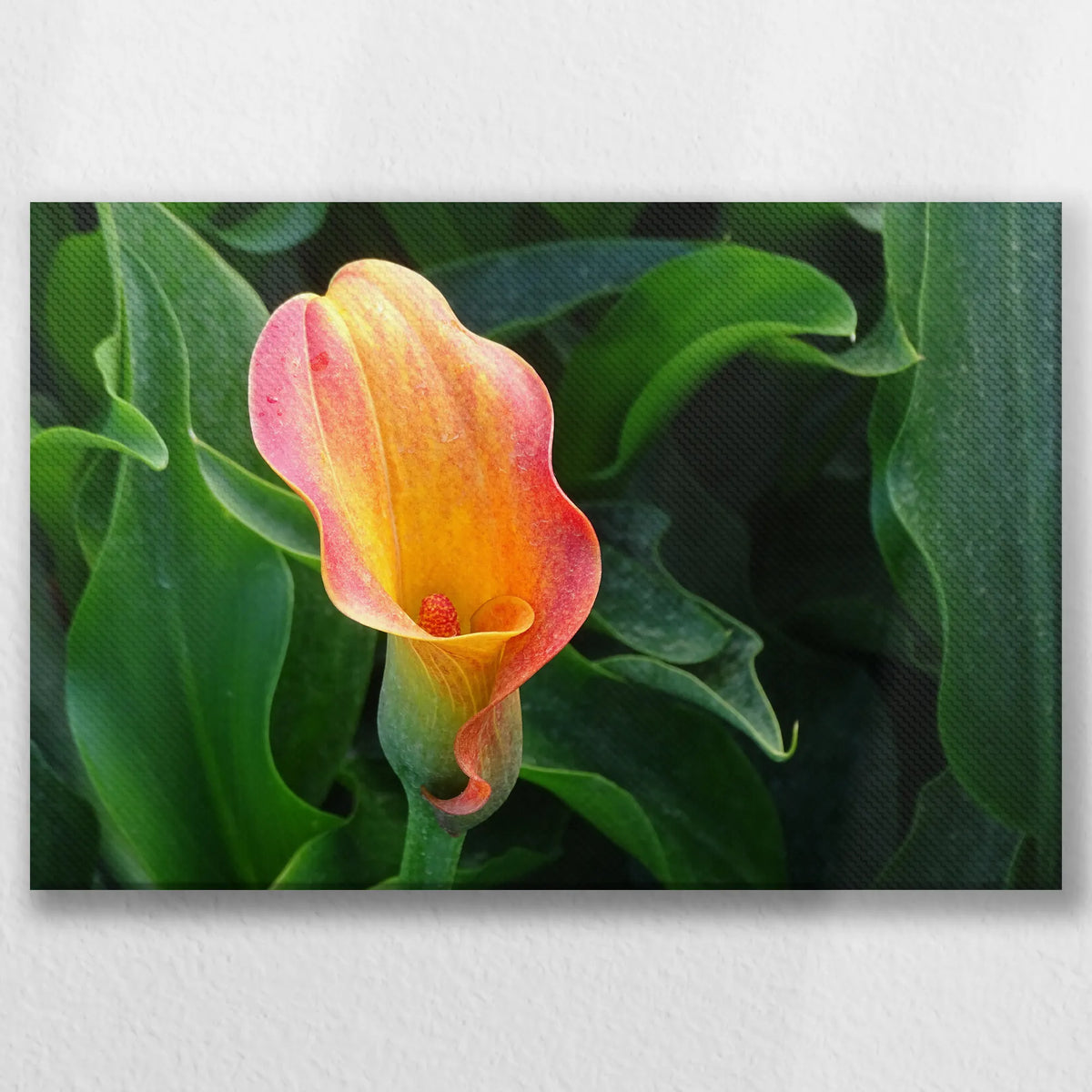 LW-045W030