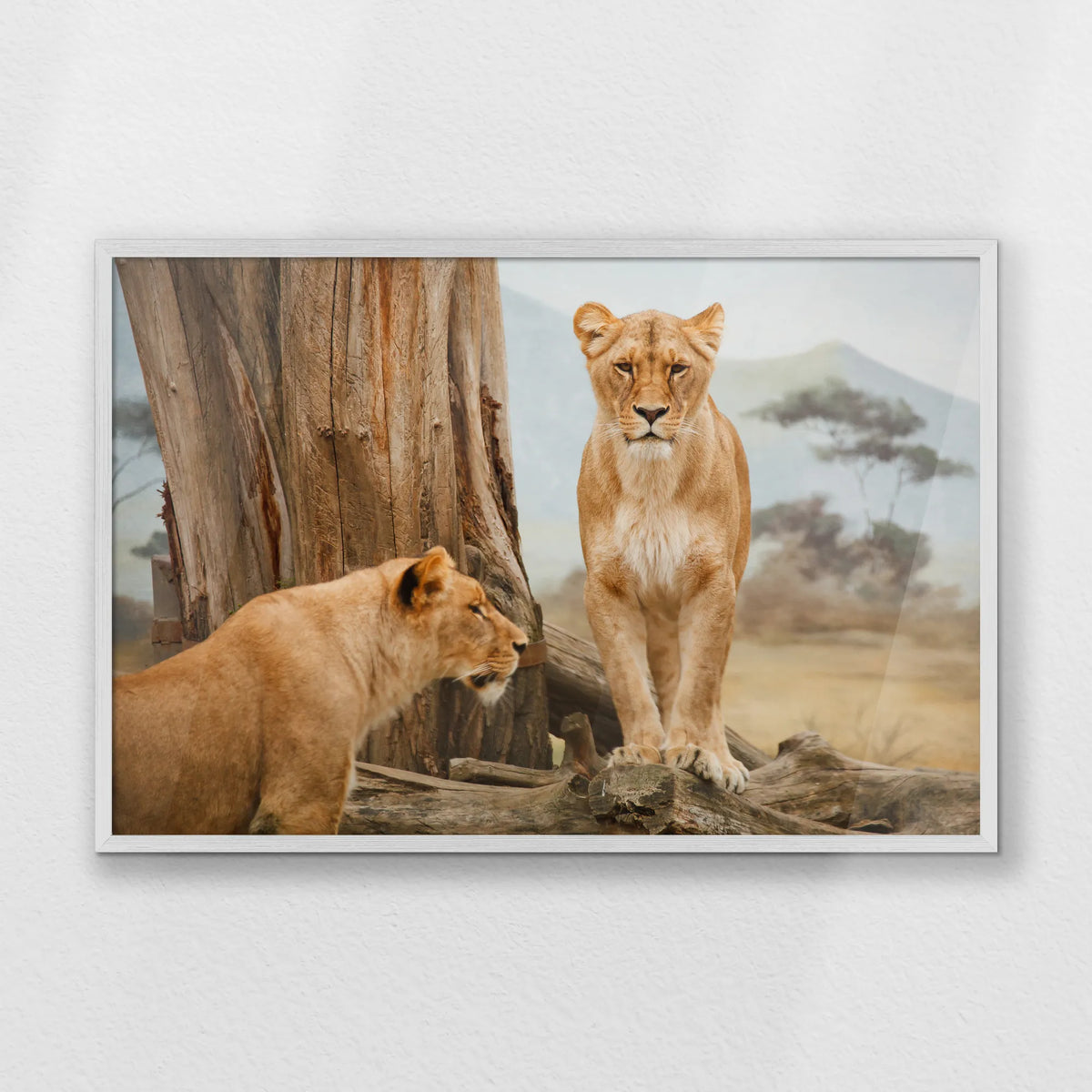 PW-093W062