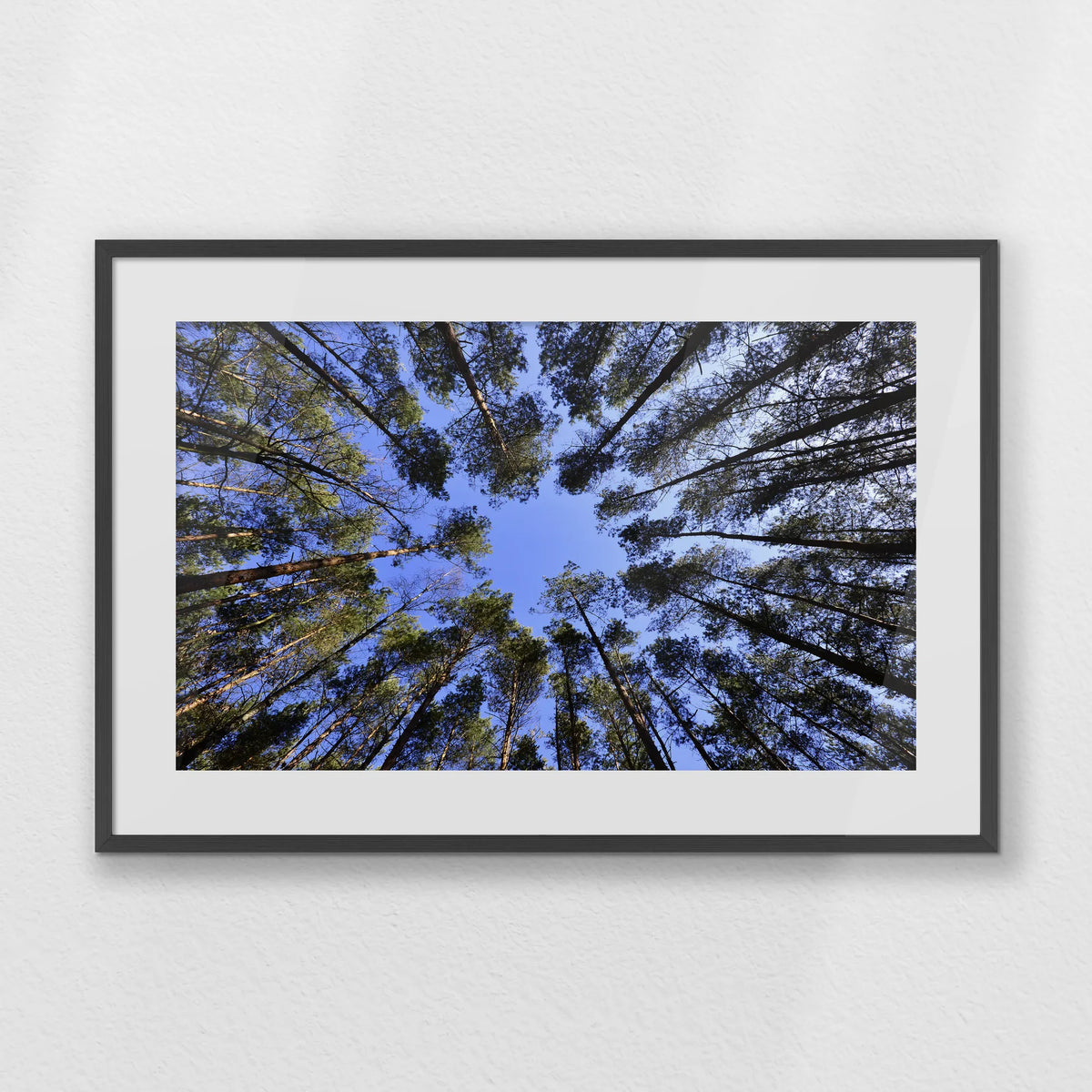 PKP093W062