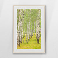 PNP070W100