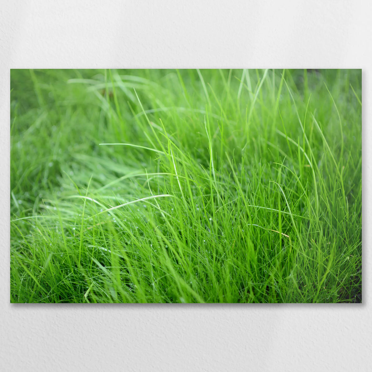 AL-075W050