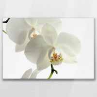 LW-075W050
