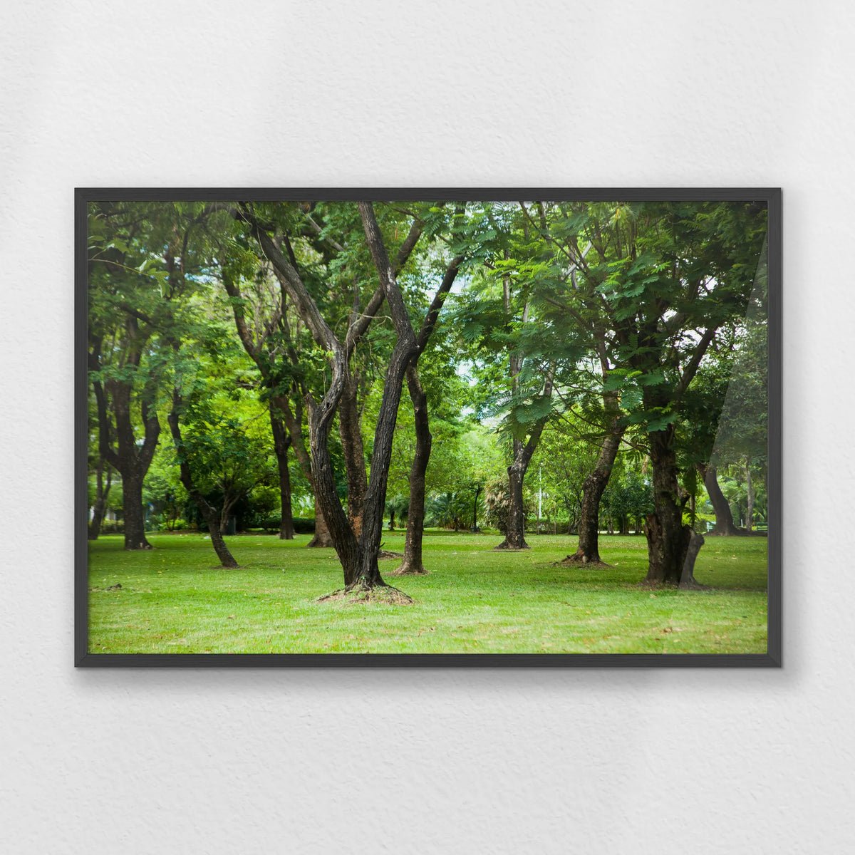 PK-093W062