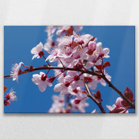 LW-075W050