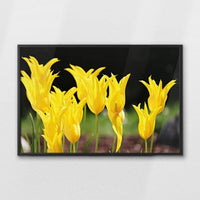 LWB100W070