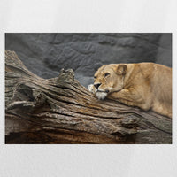 PO-030W020