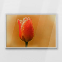 PW-093W062