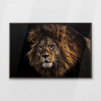 LWN120W080