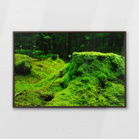 LWN120W080