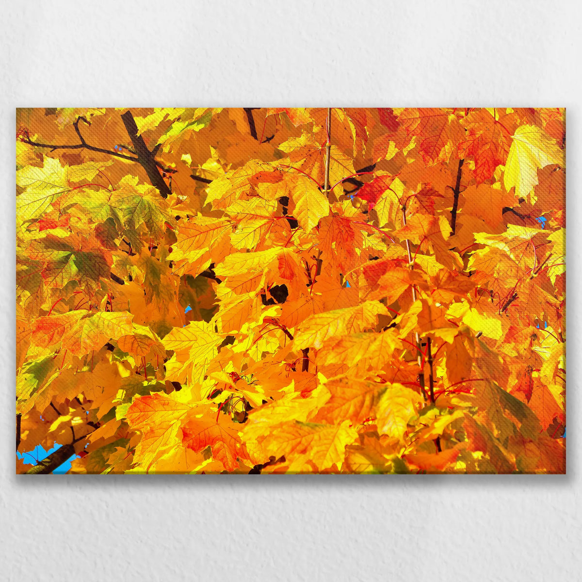 LW-075W050