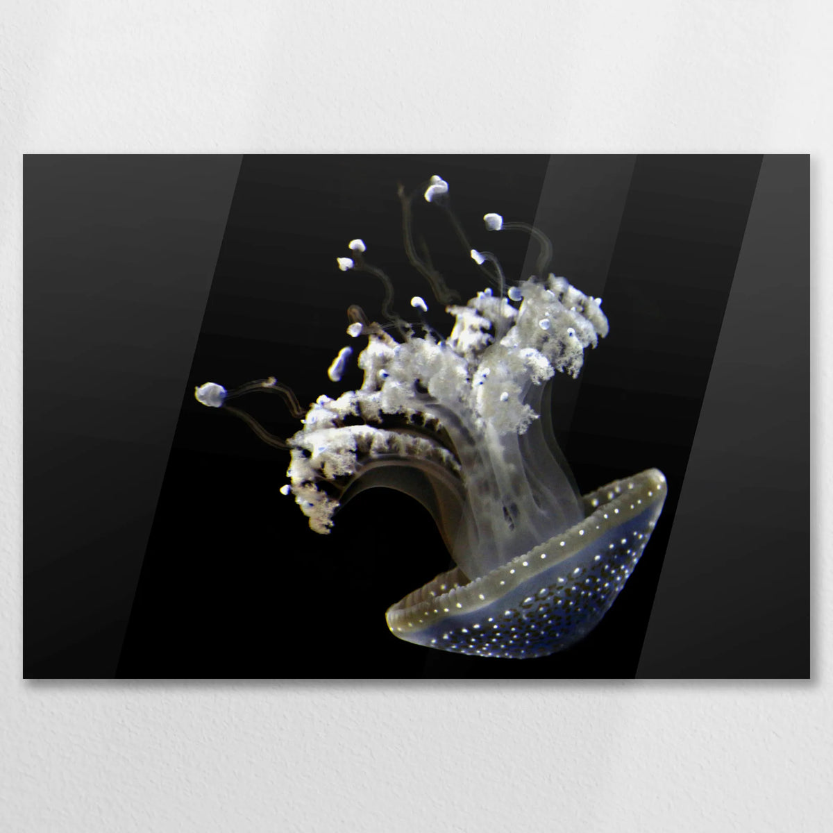AC-075W050