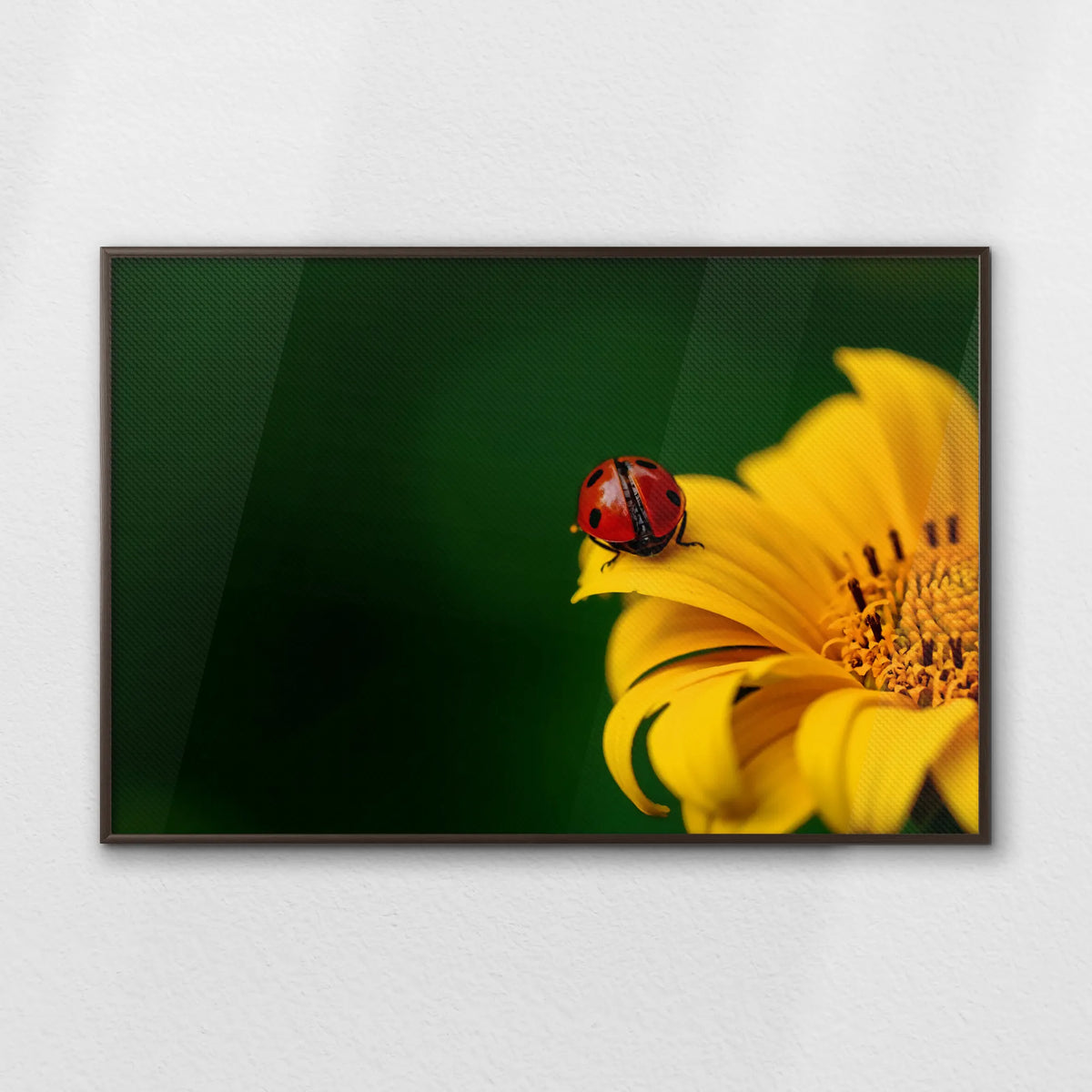LWN120W080