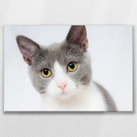 LW-090W060