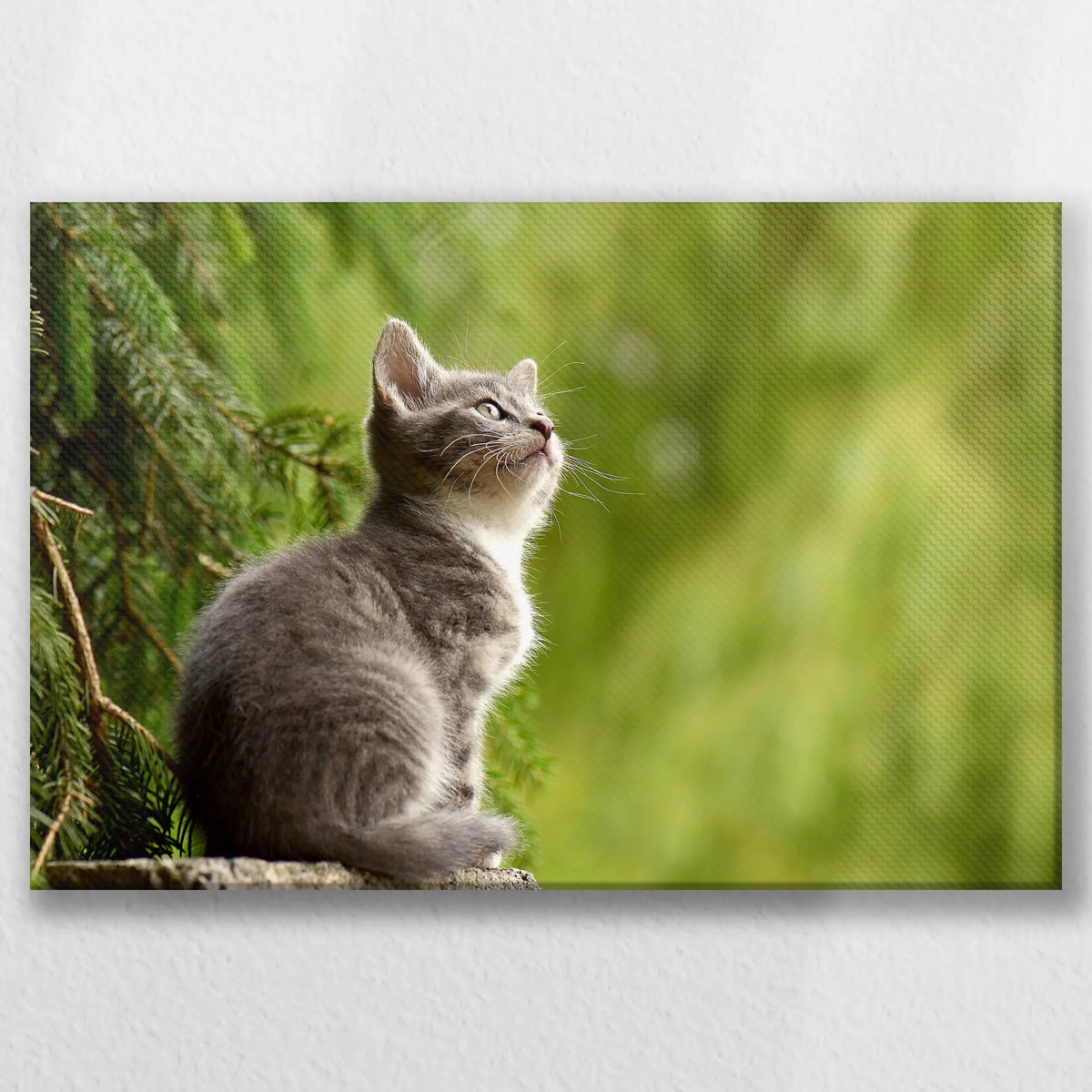 LW-045W030