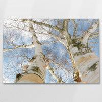 AL-090W060