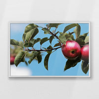 PW-093W062