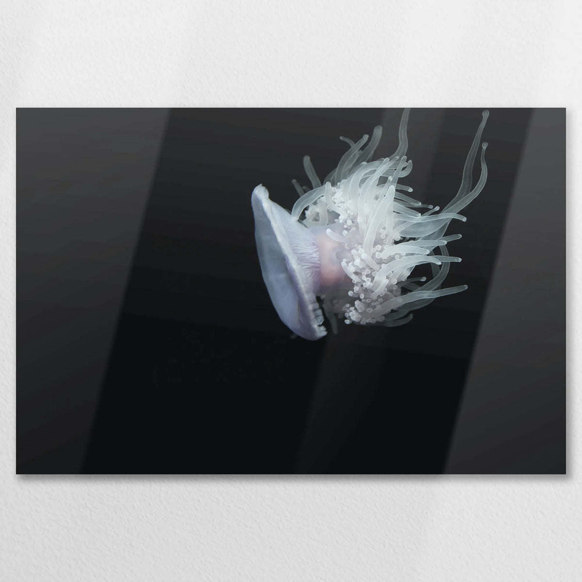 AL-090W060