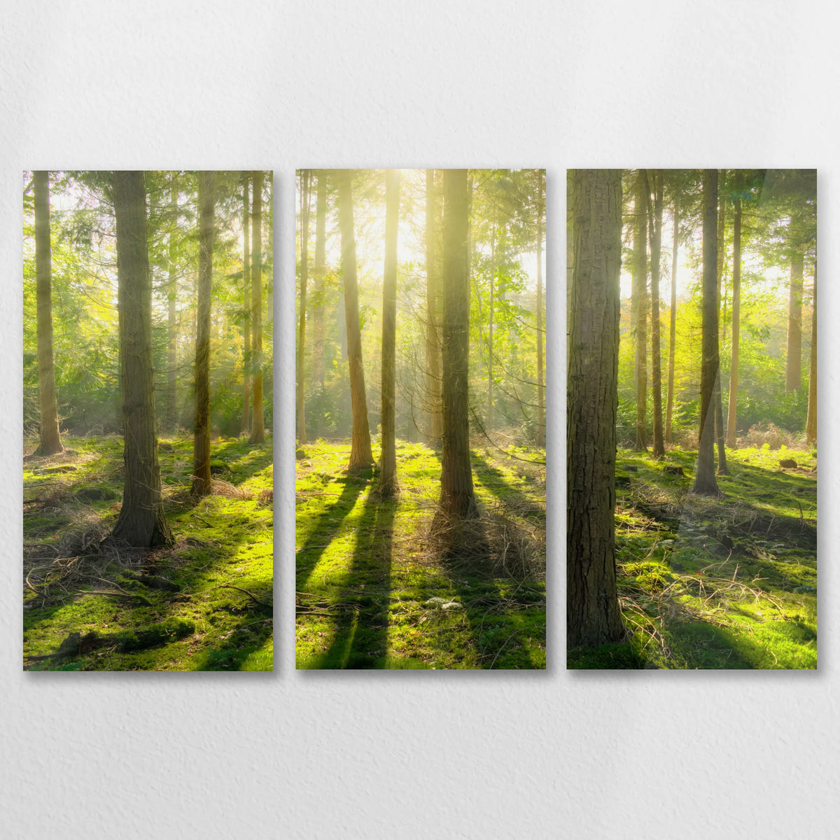 AC-090R060