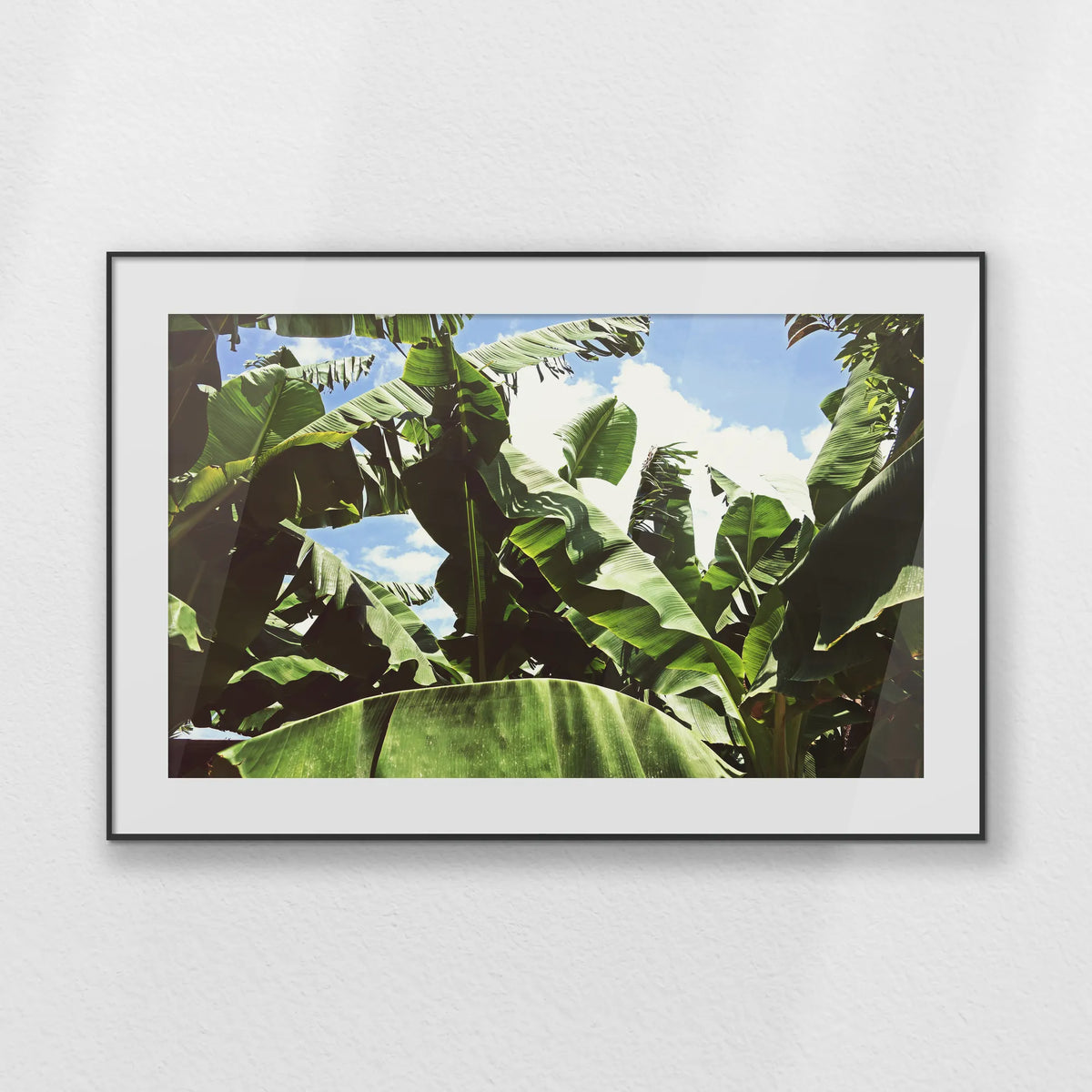 PBP120W080