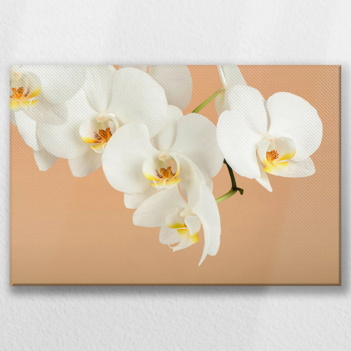 LW-030W020