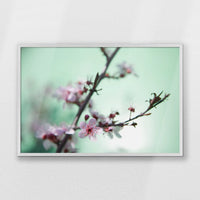 PW-093W062