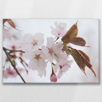 LW-090W060