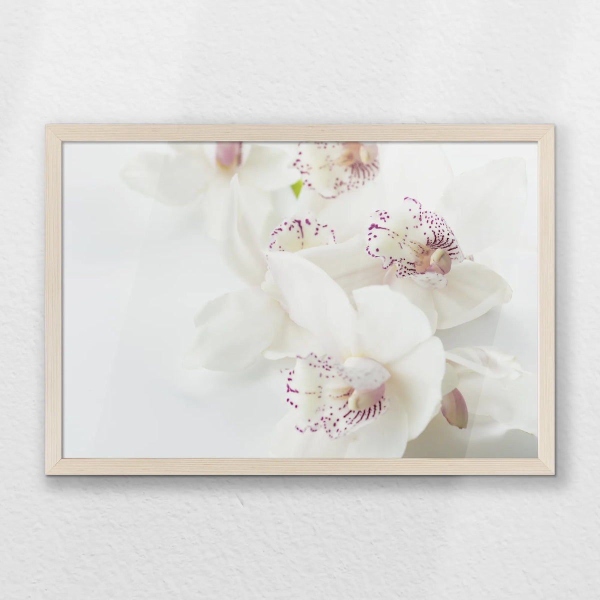 PN-060W040