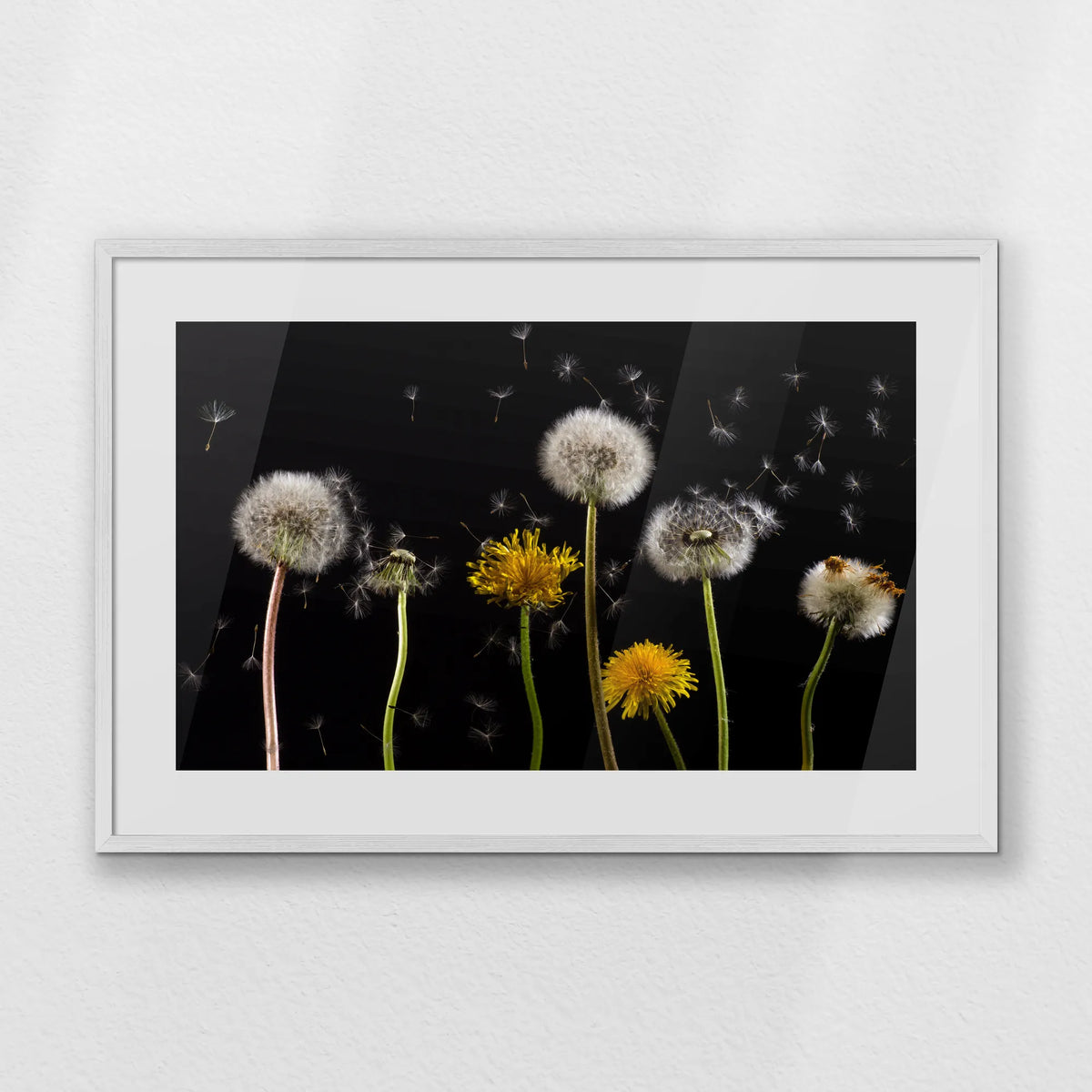PWP093W062