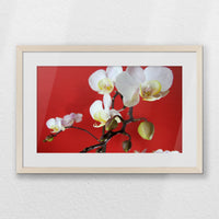 PNP060W040