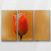 LW-060R040