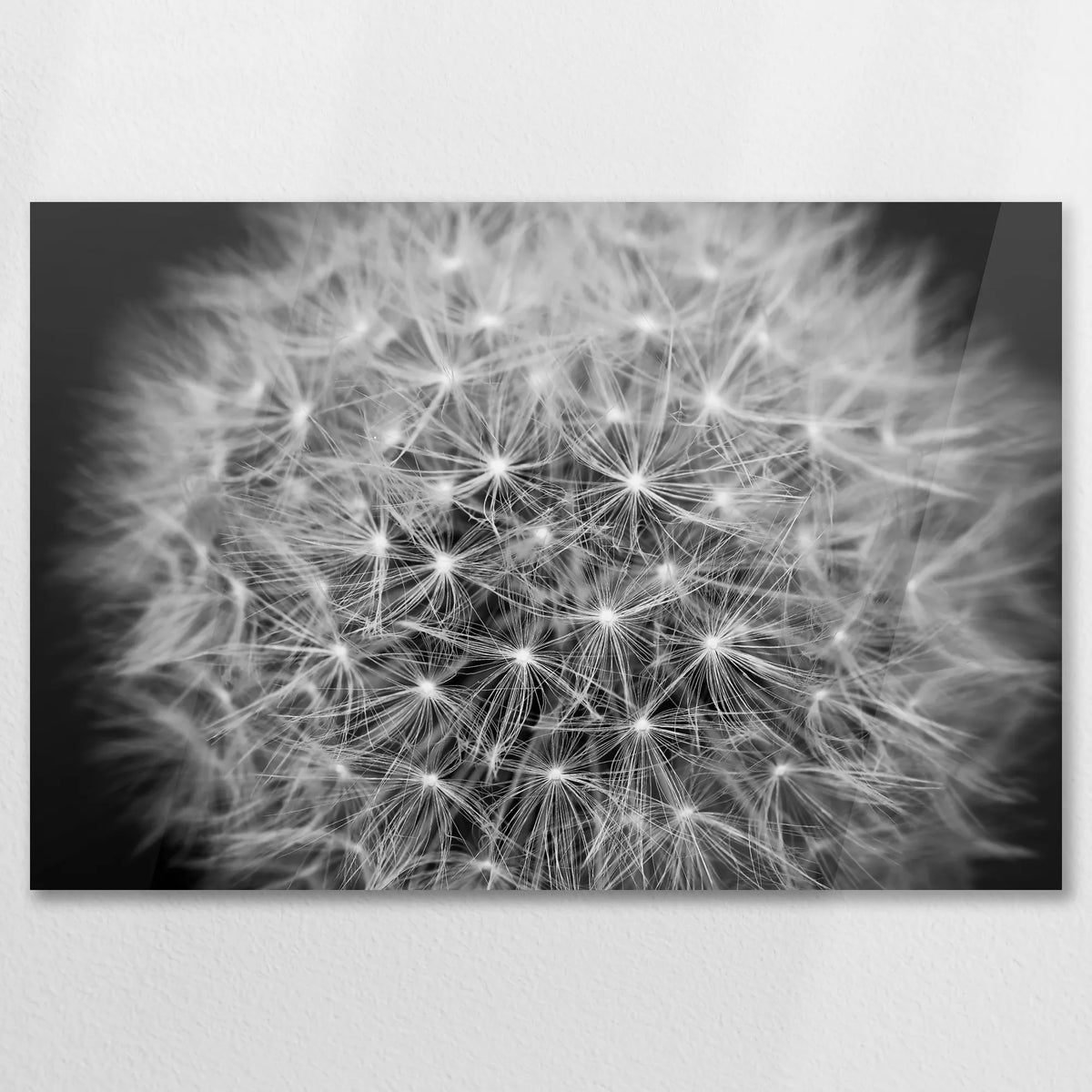 AC-075W050