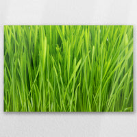 AC-060W040