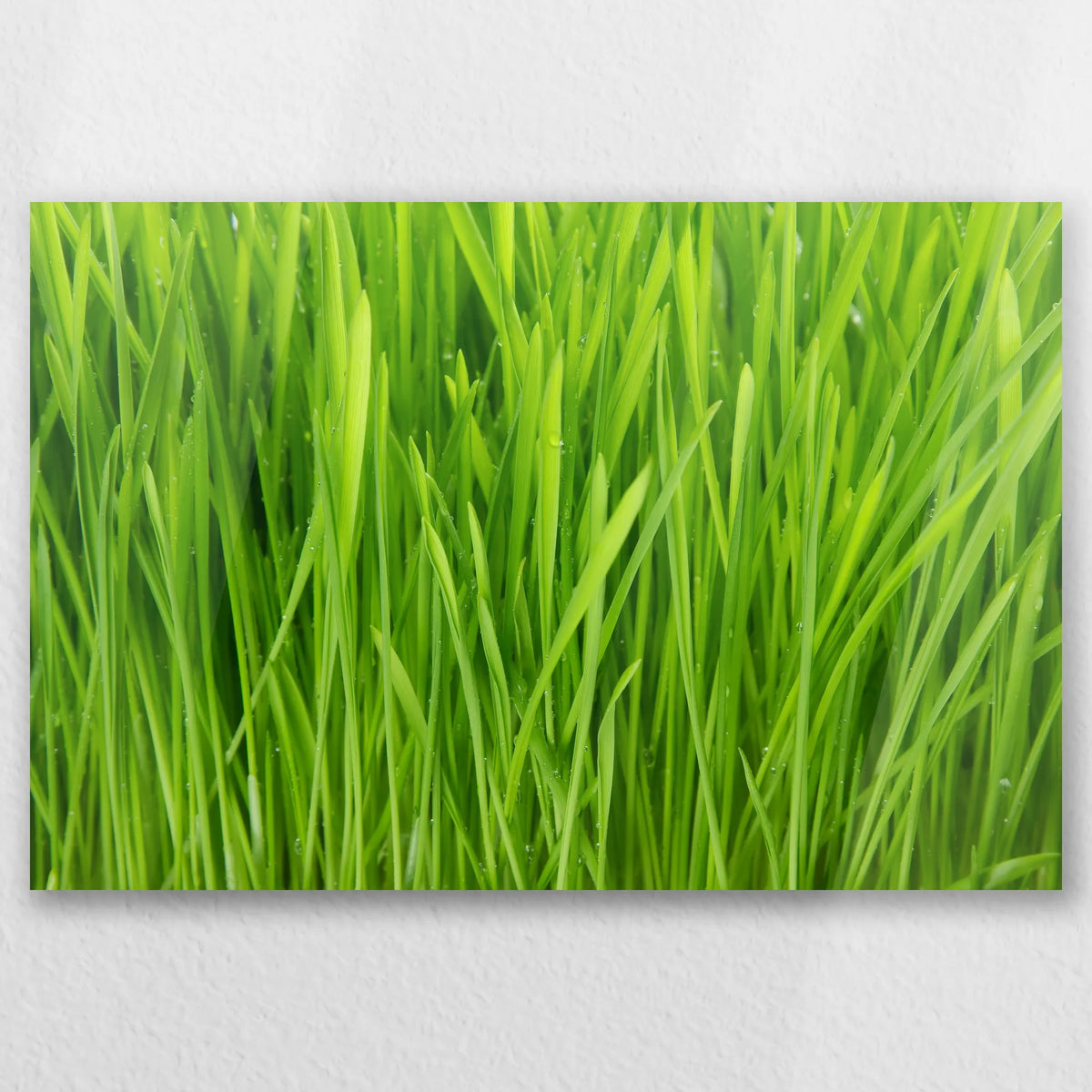 AC-060W040